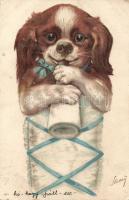 1899 (Vorläufer) Kis kutya cumisüveggel, litho s: Sassy, 1899 (Vorläufer) Dog baby with feeding bottle, litho s: Sassy