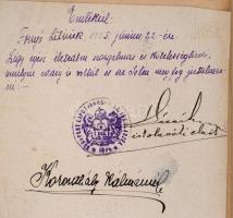 Radványi Kálmán: Nyugat országain keresztül. Bp.,1923, "Magyar Jövő" Ifjúsági Irodalmi Rt....