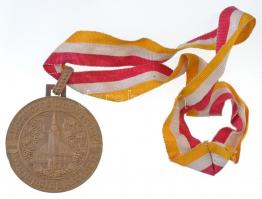 Ausztria 1929. Gumpoldskirchen Férfi Énekes Egyesület Br emlékérem nyakszalagon. (~81,7g/60mm) T:2 ph.,ü. /  Austria 1929. Gumpoldskirchen Mens Singing Group Br commemorative medal with neck ribbon. (~81,7g/60mm) C:XF edge error, ding