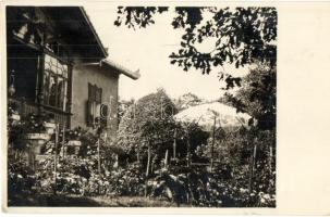 1932 Budapest XII. Svábhegyi villa kertje. photo