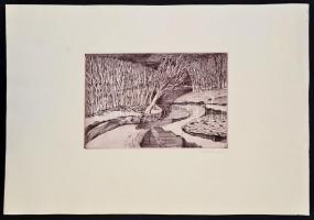 Kádár Katalin (1951-): Vízparti fák. Rézkarc, papír, jelzett, 19×29 cm