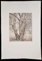 Ifj. Imre István (1950-): Téli fa. Rézkarc, papír, jelzett, 29×24 cm