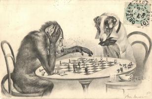 Monkey and dog playing chess. TCV card s: Anders