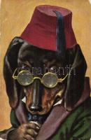 Dog with glasses. T.S.N. Serie 806. s: Arthur Thiele (EB)
