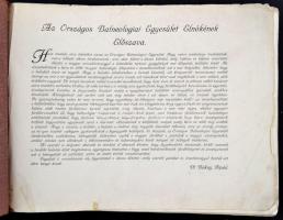 A Magyar Szent Korona Országainak gyógyfürdői és gyógyforrásai. Prospektus gyűjtemény. Bp.,1911, Ors...