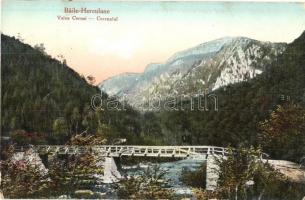 Herkulesfürdő, Baile Herculane; Valea Cernei / Cserna-völgy híddal / valley, bridge