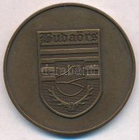 2006. "Budaörs / Első választó - Országgyűlési Képviselő Választás" Br emlékérem tokban (4...