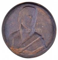 Sz. Egyed Emma (1935-2016) DN "Kazinczy Ferenc Gimnázium Győr" Br emlékplakett (132mm) T:2...