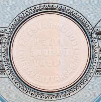 Budapest 1915. "Temesvár-Módosi Helyi Érdekü Vasut Részvénytársaság" élvezeti jegye magyar...