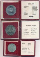 1982. 100Ft Cu-Ni "Labdarúgó Világbajnokság 1982" eredeti MNB tokban tanúsítvánnyal + 	
1...