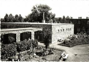 Tata, Edzőtábor - 4 db modern képeslap