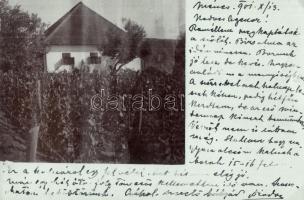 1901 Ménes, Minis; Villa szőlőkerttel / villa with vineyard. photo (EK)