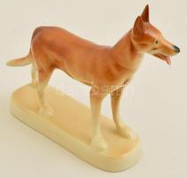 Lengyel porcelán kutya, kézzel festett, jelzett, kis kopásokkal, m: 20 cm