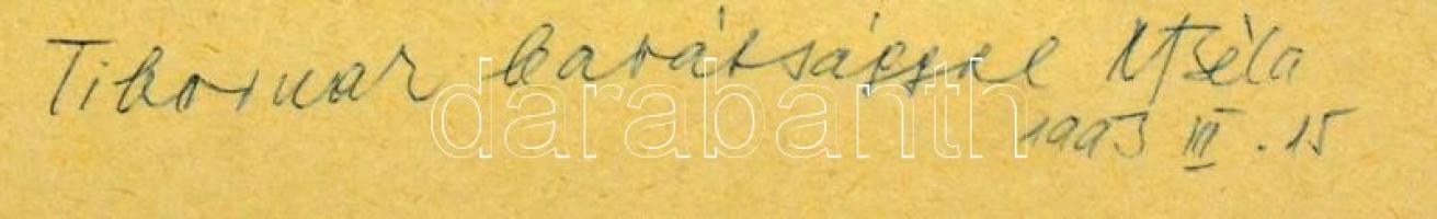 Molnár Béla (1913-): Tisztás. Akvarell, papír, jelzett, üvegezett keretben, 31×41 cm