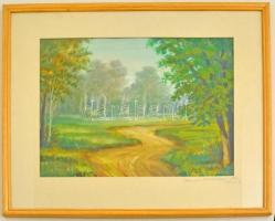 Molnár Béla (1913-): Tisztás. Akvarell, papír, jelzett, üvegezett keretben, 31×41 cm