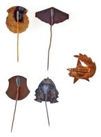 ~1960-1970. 5db-os törzsgárda jelvény tétel, közte söripar, vendéglátóipar és belker T:2