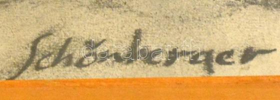 Schönberger jelzéssel: Ülő női akt. Pasztell, papír, üvegezett keretben, foltos, 60×40 cm