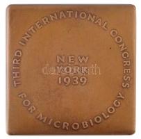 Amerikai Egyesült Államok 1939. "Theobald Smith 1859-1934 - Student of Disease / Third Internat...