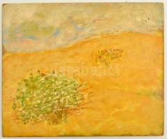 Somlai Vilma (1938-2007): Sárga táj, olaj, farost, hátulján pecséttel jelzett, 25×30,5 cm