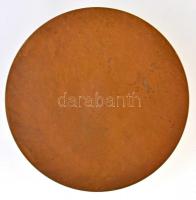 Berán Lajos (1882-1943) 1932. "ARTHVR SARBÓ DE SZEPESVÁRALJA PROF. E. O. NEVROL. PRIM. NOSOC. S...