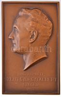 1937. Nagyrápolti Szent-Györgyi Albert - Szeged egyoldalas Br plakett (81x50mm) T:1- patina