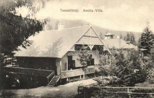 Tusnádfürdő, Baile Tusnad; Amália villa. Adler fényirda / villa