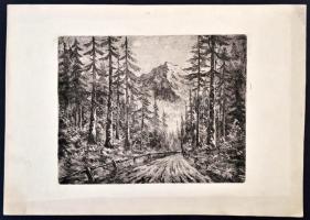 Jelzés nélkül: Erdei út. Rézkarc, papír, 17×22 cm