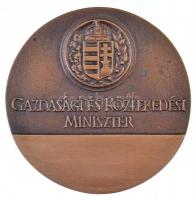 1991- "Eötvös Loránd-díj / Gazdasági és Közlekedési Miniszter" kétoldalas Br díjérem (111m...