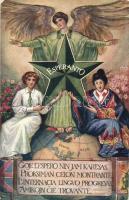 Esperanto. Raphael Tuck & Sons Esperanto postcard series 9964.