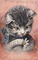 Cat with flower. T.S.N. Serie 710. s: Arthur Thiele