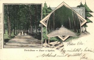 Törökbecse, Újbecse, Novi Becej; Fasor a ligetben / promenade in the forest. Art Nouveau