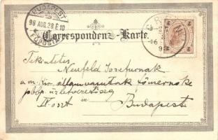 1898 (Vorläufer!) Grein, photo glued on postcard