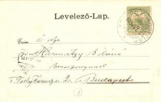 Fonyód-fürdőtelep, vasútállomás, gőzmozdony