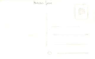 Balatonfüred, Tisztek és úriemberek csoportja. group photo