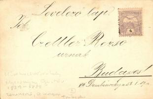 1901 Hódmezővásárhely, Nyizsnyay Gusztáv zeneszerző megkoszorúzott szobra. photo