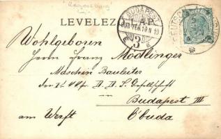 1903 Regensburg gőzemű oldalkerekes vontató hajó télen a befagyott Duna jegén / Hungarian towing shi...