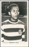 José Fernando Ferreira Pinto Portuguese football player - modern postcard