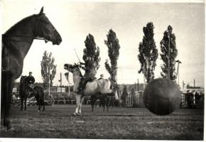 Lovaspóló. Tiszavölgyi József felvétele - Polo, horses. photo