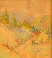 Sárkány Kálmán (1885-): Kis hegyi út. Akvarell, papír, jelzett, keretben, 59×42 cm