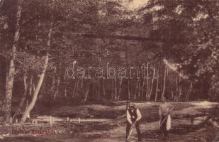 Rozsnyó, Roznava; erdő részlet csákányos dolgozókkal / forest, workers with pickaxe (EK)