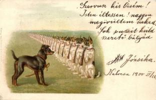 Dog army. Wezel & Naumann litho