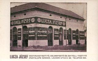 Szeged vegytisztító