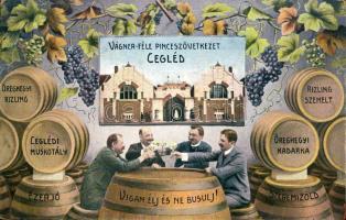 Cegléd Vágner pinceszövetkezet