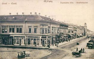 Eszék with Synagogue