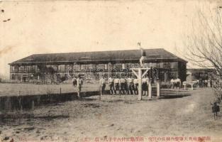 Hakodate, Jluhohewe Einai / military barracks, training of the soldiers. Swastika on the backside  (pinholes)