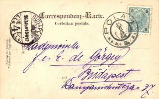 Osztrák-magyar torpedórombolók / K.u.K. Kriegsmarine Torpedobootsgruppe / WWI Austro-Hungarian Navy ...