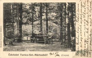 Turócszentmárton, Turciansky Svaty Martin; park, Corysa / park (fl)