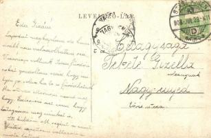 1908 Magyarrégen, Szászrégen, Reghin; utcakép, fogyasztási és értékesítő szövetkezet / street view, ...