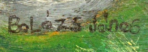 Balázs jelzéssel: Tornádó a tengeren. Olaj, falemez, 24×47 cm