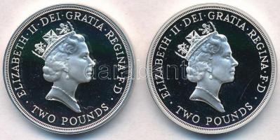 Nagy-Britannia 1989. 2P Ag "A Jogok nyilatkozata 300. évfordulója" + 1989. 2P Ag "A s...
